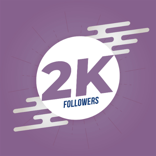 SOCIAL MEDIA FOLLOWERS